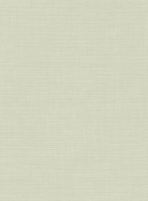 0105770001_clover_01_texture