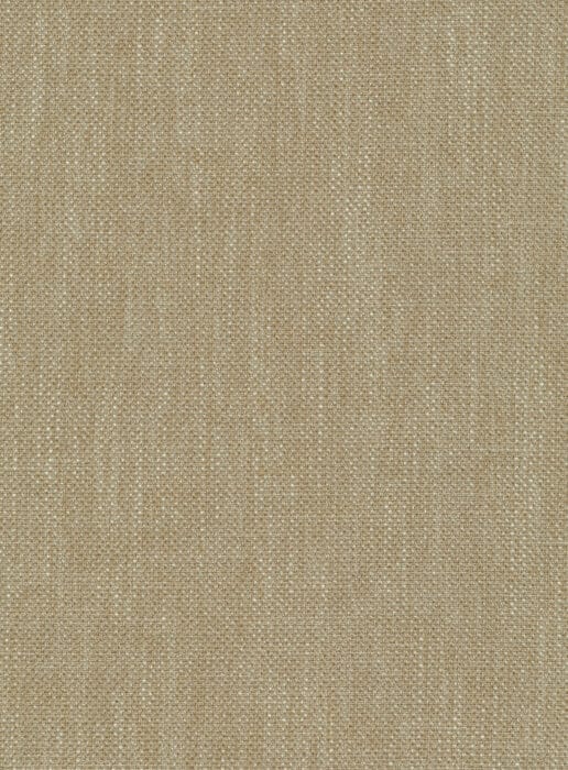 0106290097_nolin_97_texture